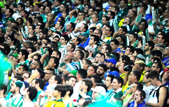 Torcida Palmeiras X Sport - Arena Palmeiras (Foto: Marcos Ribolli)