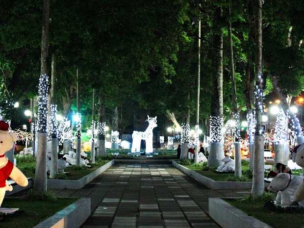 Natal Luz de Garanhuns será realizado de 20 de novembro a 31 de dezembro (Foto: Divulgação/Assessoria de Garanhuns)
