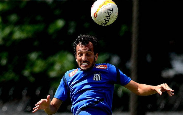 Edu Dracena (Foto: Ivan Storti / Divulgação Santos FC)