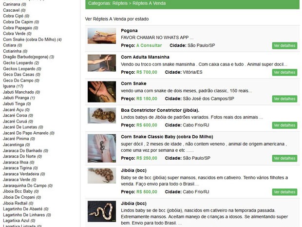 Site tem anúncios de venda de diversos tipos de cobra, entre outros animais silvestres (Foto: Reprodução/BrasilPetShop) Site tem anúncios de venda de diversos tipos de cobra, entre outros animais silvestres (Foto: Reprodução/BrasilPetShop)