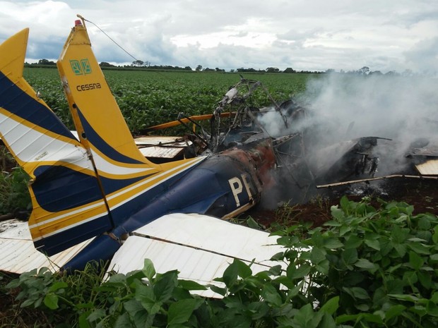 Avião agrícola cai e deixa os dois ocupantes mortos em Goiás, diz polícia (Foto: Divulgação/Polícia Civil)