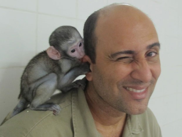 Macaco Lequinho brincando com o biólogo Anderson (Foto: Janaína Carvalho/G1)