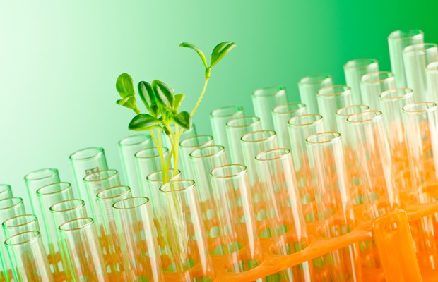 laboratório_planta_ideia_crescimento (Foto: Shutterstock)