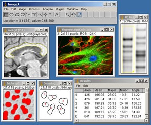 nih imagej software free download