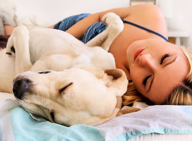 Estreitar a conexão entre donos e cães pode ser benéfico para o comportamento do animal (Foto: The Labrador Site/ Reprodução)