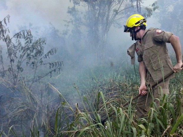 Bombeiros foram acionados para conter incêndios no interior do Acre  (Foto: Divulgação/Corpo de Bombeiros)