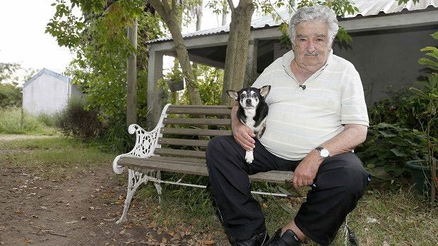  Mujica diz que sua cadela de estimação, Manuela, foi "integrante mais fiel" do governo  (Foto: BBC)