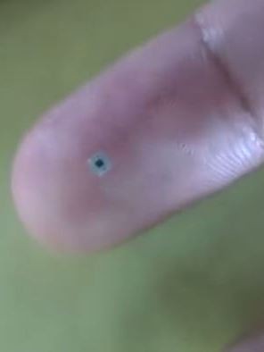 Quadro de 0,7 milímetro na ponta do dedo de artista de Mombuca (Foto: Wesley D’Amico/VC no G1)