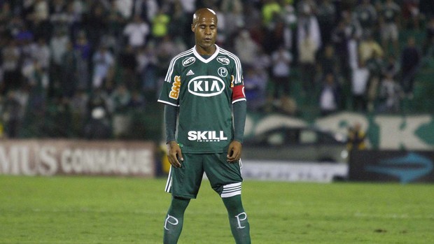 Marcos Assunção, Guarani x Palmeiras (Foto: Gustavo Tilio / Globoesporte.com)