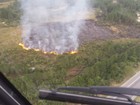 Incêndio consome área de vegetação no Maciambu, em Palhoça, SC