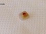 Lista reúne dentes e outros objetos curiosos achados em alimentos Lista reúne dentes e outros objetos curiosos achados em alimentos