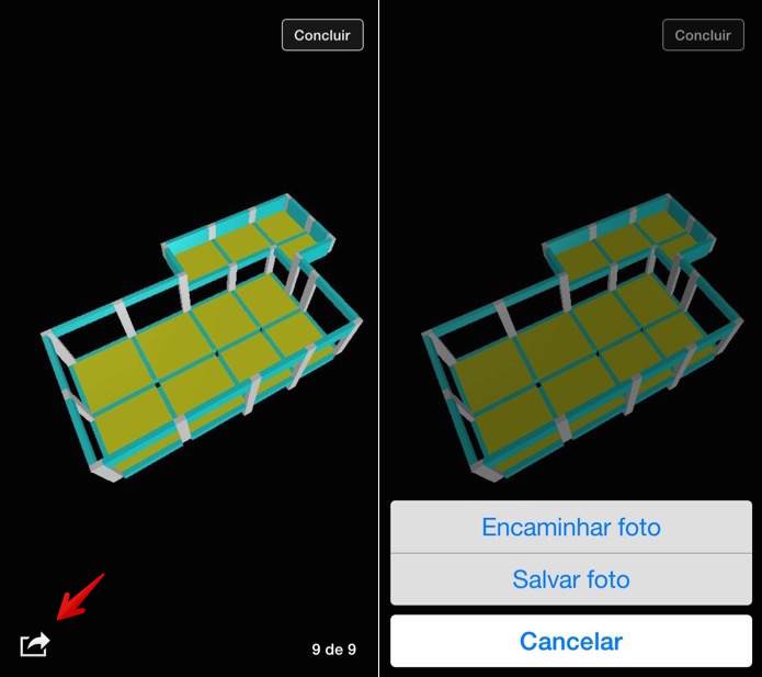 Aplicativo para iOs permite salvar ou encaminhar a foto (Foto: Reprodução/Helito Bijora) 