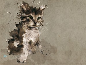 Resultado de imagem para gatos em aquarela
