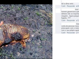 Integrante do Prevfogo mostra tatu encontrado morto pelo fogo (Fot Adailton Paulino/Arquivo pessoal)