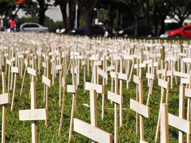 Cerca de cinco mil cruzes espalhadas em frente ao Congresso Nacional (Foto: Maria Luiza Araújo/  Vc no G1)