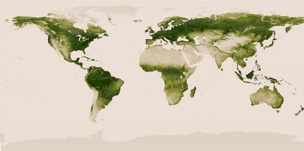 Imagem feita por equipamento operado pela Nasa/Noaa mostra toda a vegetação que cobria a Terra entre abril de 2012 e abril de 2013 (Foto: Divulgação/Nasa)
