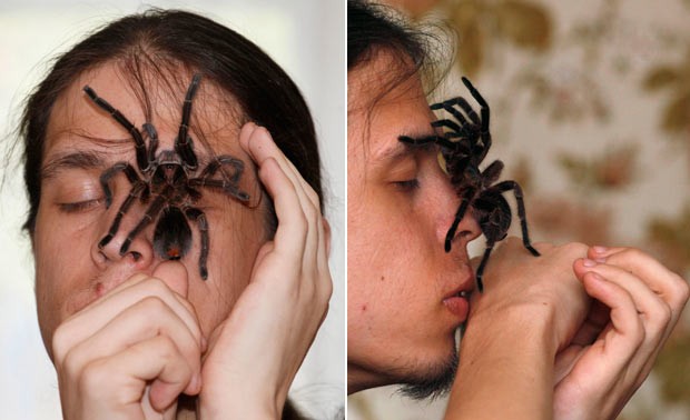 Yegor Konkin brinca com aranha venenosa Phormictopus antillensis. (Foto: Ilya Naymushin/Reuters)