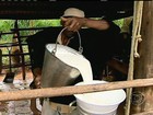 Falta de mão-de-obra dificulta expandir produção de leite em MG
