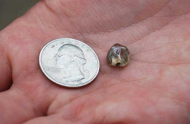 Diamante pode valer até US$ 15 mil (Foto: Divulgação/ Parque estadual do Arkansas)