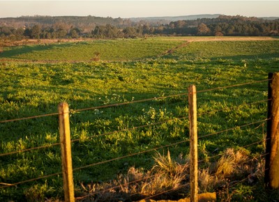 agricultura_terra (Foto: Marcelo Curia/Ed. Globo)