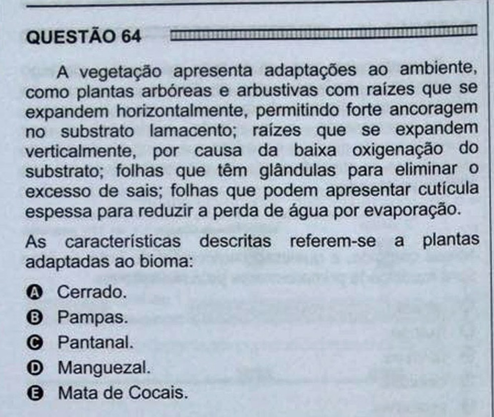 ENEM 2016 - 1º DIA - PROVA BRANCA - QUESTÃO 64 (Foto: G1 )
