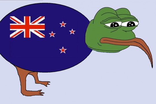 NZ Govt. asks the internet for help - uh oh Um_kiwi_triste_que_ta_passando_mal