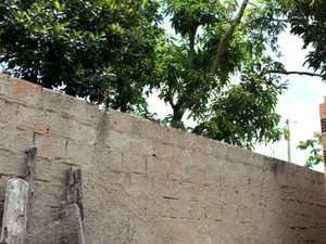 Muro onde adolescente subiu e foi baleado fica junto à mangueira, no sul da Bahia (Foto: Sessé Guimmas/Medeiros Dia Dia) Muro onde adolescente subiu e foi baleado fica junto à mangueira, no sul da Bahia (Foto: Sessé Guimmas/Medeiros Dia Dia)