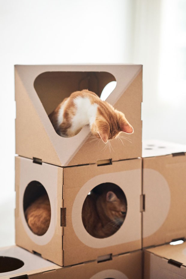 Sistema modular permite montar uma verdadeira cidade para o seu gato (Foto: Divulgação)