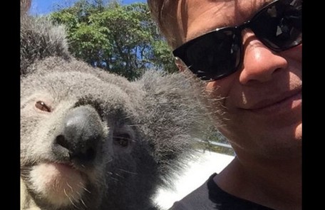 Fabio Assunção fotografa ao lado de um coala durante as gravações de Totalmente demais na Austrália Reprodução