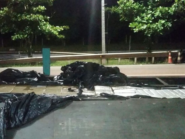 Motorista levava a droga do Paraná para entregar em São Paulo (Foto: Divulgação/Polícia Rodoviária)