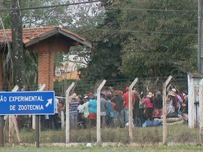 Cerca de 250 famílias ocuparam o Polo Regional de Pesquisa na manhã de sábado (16) (Foto: Reprodução/EPTV)