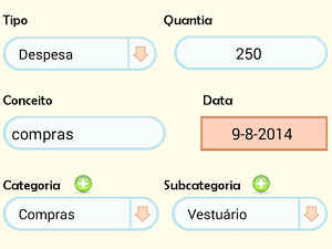 Controle de Despesas separa gastos em categorias e subcategorias (Foto: Reprodução)