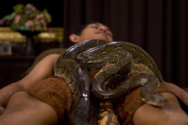 As cobras ‘passeiam’ pelo corpo dos clientes durante o tratamento. Duas massagistas acompanham para garantir a segurança (Foto: Romeo Gacad/AFP)