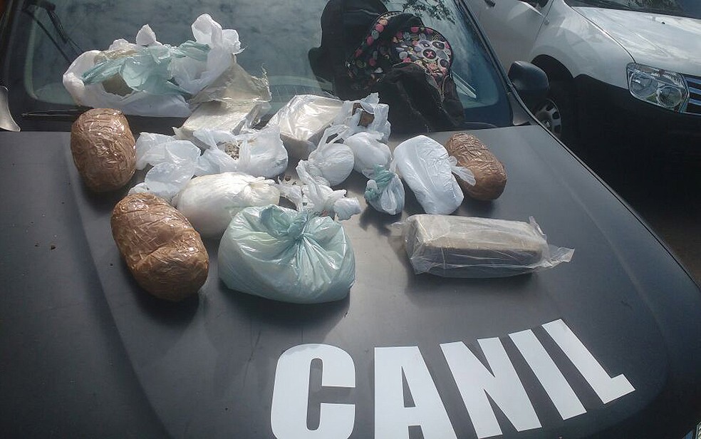 Drogas foram encontradas embaixo de ponte em Cosmópolis (Foto: Divulgação/Guarda Municipal)