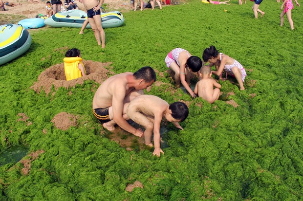 Crianças brincam em meio a algas marinhas em praia na China (Foto: AFP)