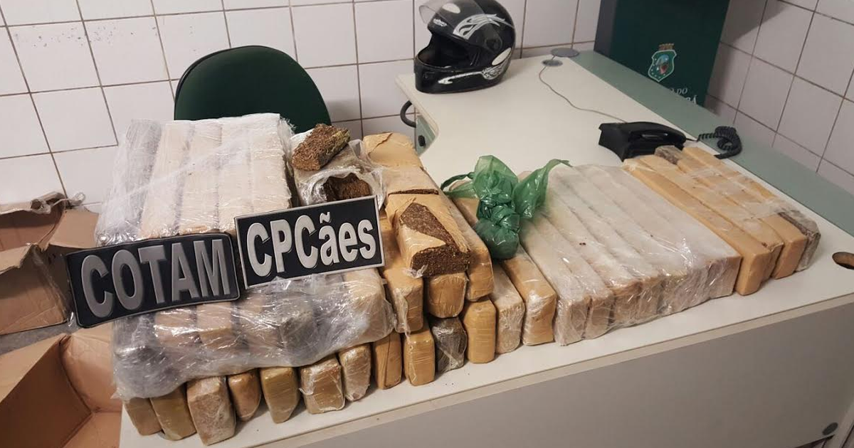 G1 Polícia apreende 50 kg de maconha e prende dupla por tráfico em