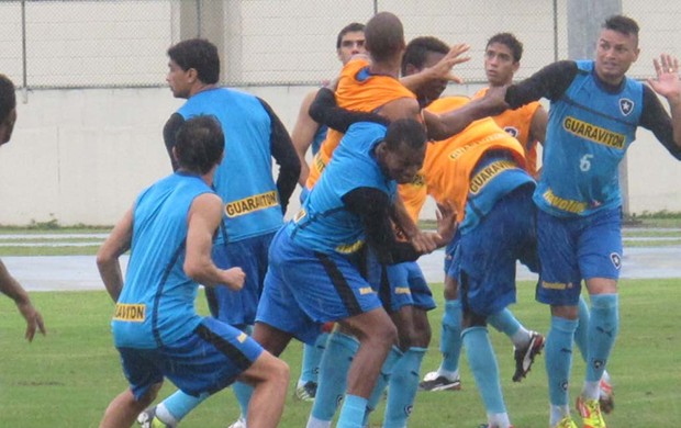 Jogadores Botafogo Fábio Ferreira (Foto: André Casado / Globoesporte.com)