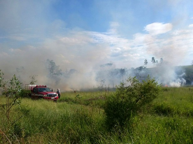 Corpo de Bombeiros foi acionado por volta das 13h30 desta sexta-feira (24) (Foto: Stephanie Fonseca/G1)