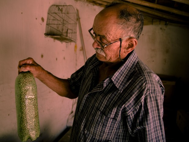 Seu Dodô mostra milho das Sementes da Paixão, nome criado por ele (Foto: Fernanda Rappa/Divulgação)