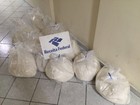 Cães farejadores ajudam a encontrar 111 kg de cocaína no Porto de Santos