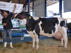 vaca indiana canvas 2R produtora leite recorde (Foto: Megaleite/ Divulgação)