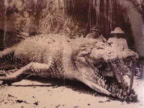 Polonesa Krystina Pawloski matou crocodilo de 8,6 metros em 1957 (Foto: Reprodução/Imgur/Craigydavi )