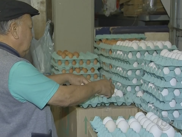Kenzo Kato prevê aumento no preço da dúzia de ovos (Foto: Reprodução/TV TEM)