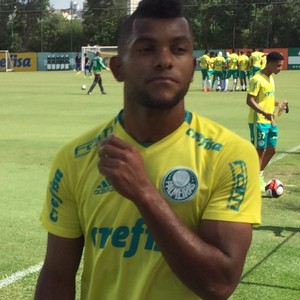 Borja faz trabalho físico em campo na reapresentação do Palmeiras