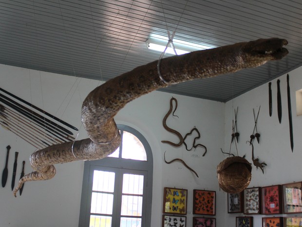 Acervo histórico do Museu de Guajará-Mirim (Foto: Júnior Freitas/G1) Acervo histórico do Museu de Guajará-Mirim (Foto: Júnior Freitas/G1)