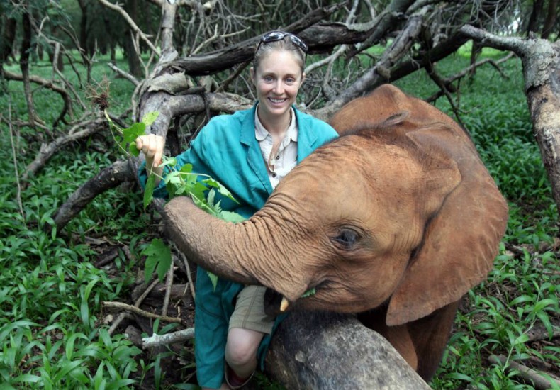 Memória de Elefante on RadioPublic