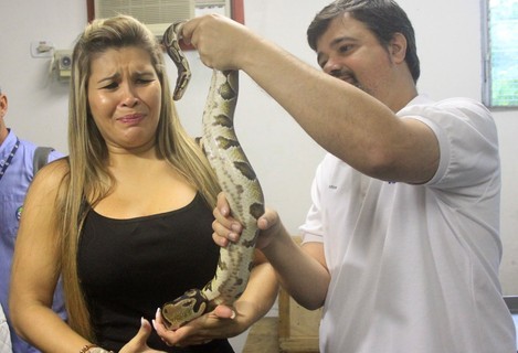 Mulher Maçã encara cobras depois de contar que usa veneno para se tratar (Rodrigo dos Anjos/Divulgação)