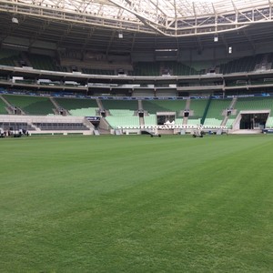 Palmeiras x Santos: 20 mil ingressos vendidos e um setor esgotado