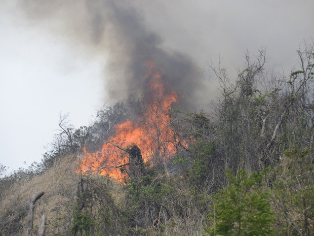 Incêndio no Morro do Moreno (Foto: Vitor Jubini/ A Gazeta)