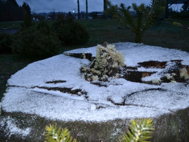 Acúmulo de neve é registrado em São Joaquim, na Serra catarinense (Foto: Dionata Costa/São Joaquim Online)